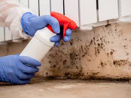 Best Asbestos and Lead Testing During Mold Inspection  in Hunter, TN